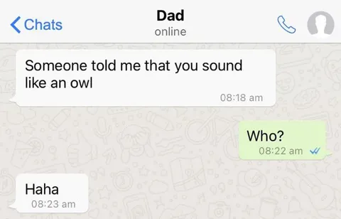 Someone Told Dad He Sounds Like an Owl
