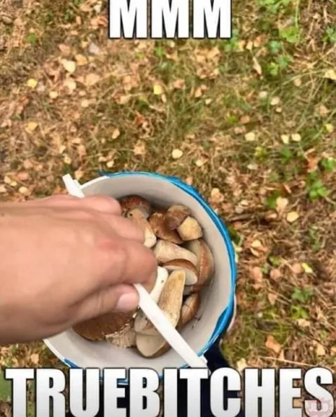 True Bitches Love Mushrooms