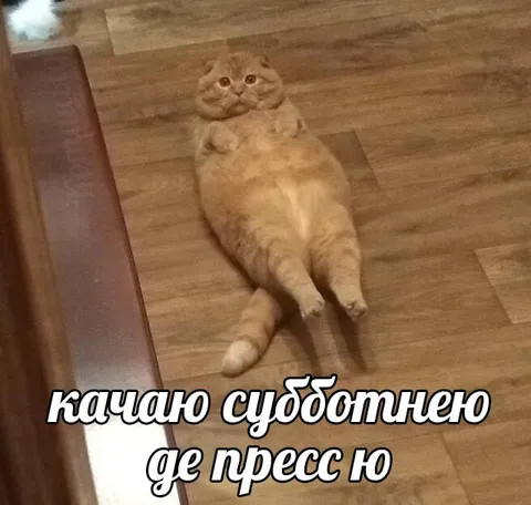 Качаю субботнею де пресс ю