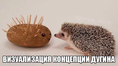 Визуализация концепции Другина