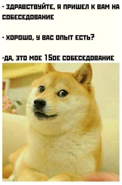 Пятнадцатое собеседование