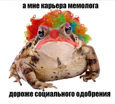 Карьера мемолога дороже одобрения