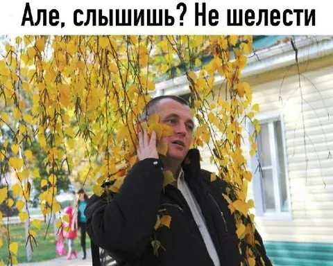 Але, слышишь? Не шелести