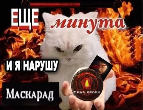 Ещё минута — и я нарушу маскарад
