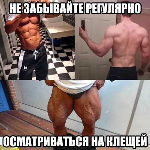 Не забывайте осматриваться на клещей