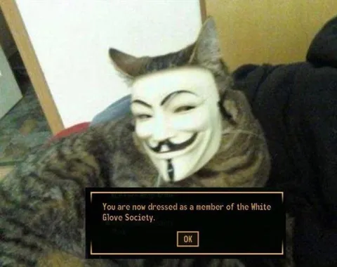 White Glove Society Cat