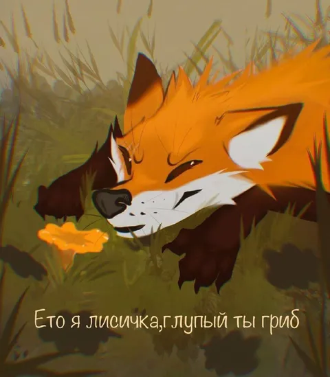 Лисичка и глупый гриб