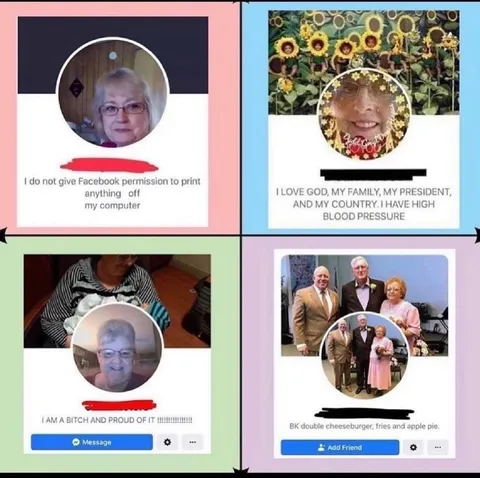 Facebook Permission Grandma Meme