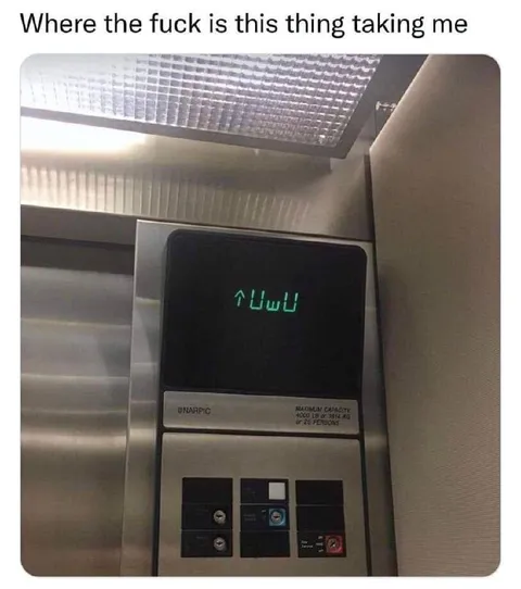 Where Is This Elevator Taking Me