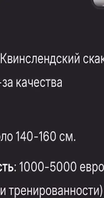 Какая из нейросетей умнее