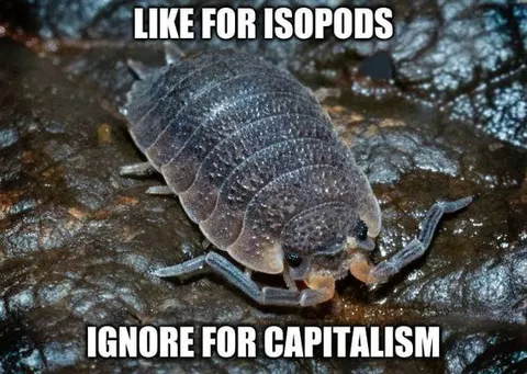 Like for Isopods Ignore Capitalism