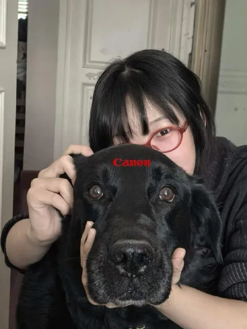 Canon на лбу у собаки