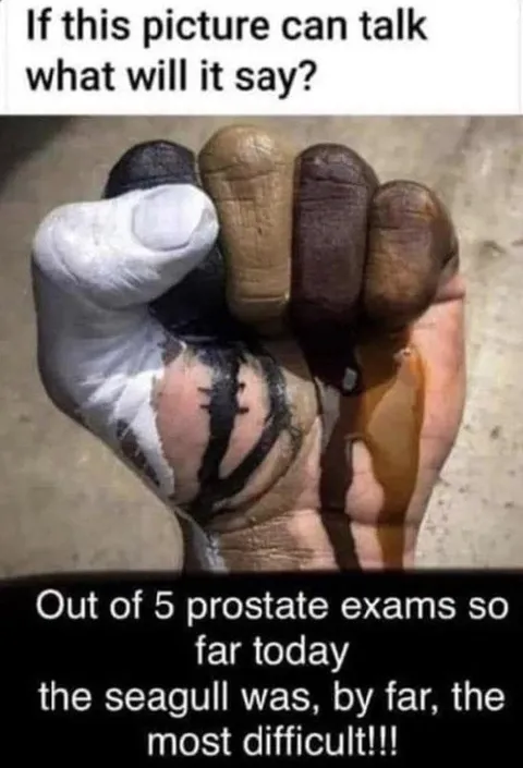 Seagull Prostate Exam