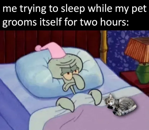 Pet Grooming Keeps Me Awake