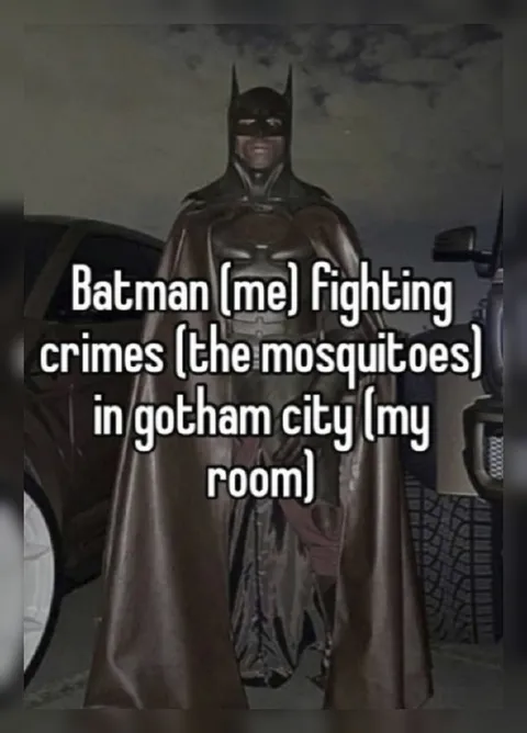 Batman Fighting Mosquitoes in My Room