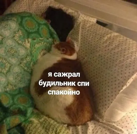 Хомяк сожрал будильник
