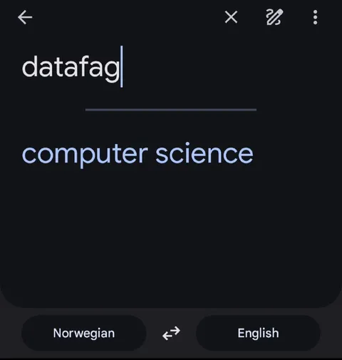 Datafag betyr computer science
