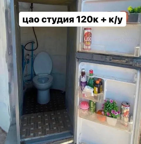 Студия с туалетом в холодильнике