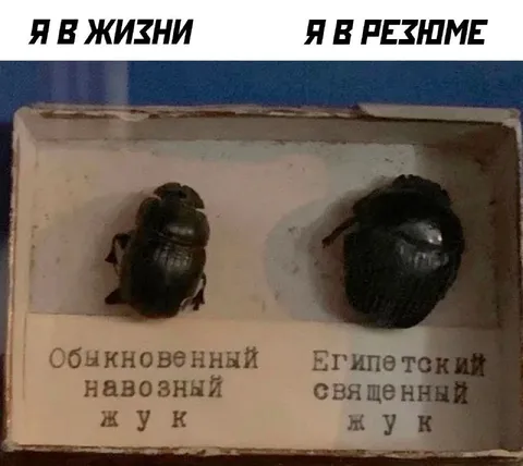 Я в жизни и в резюме