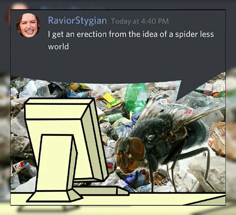 Erection From a Spiderless World