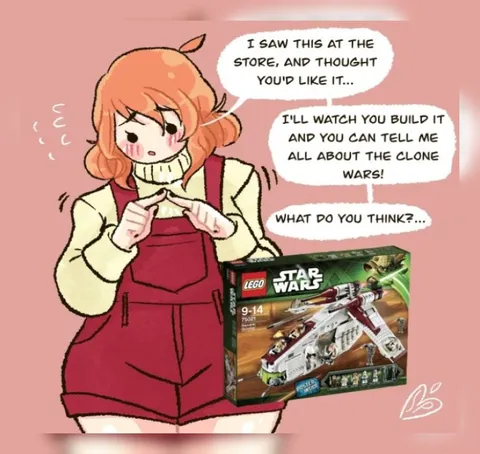 She Bought a Star Wars LEGO Set