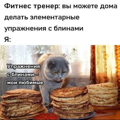 Кот и упражнения с блинами