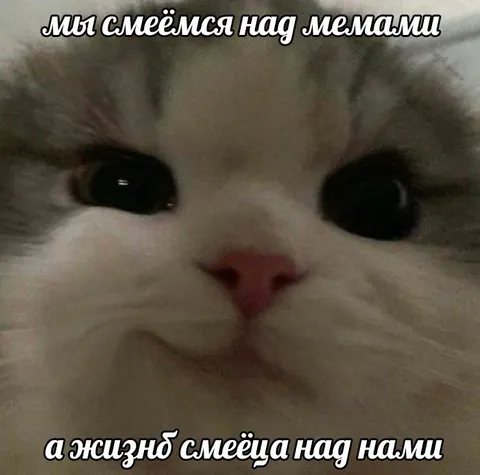 Мы смеёмся над мемами