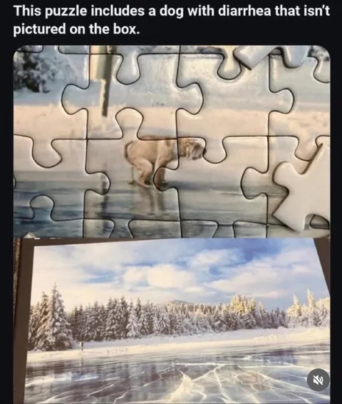 Puzzle Dog With Diarrhea