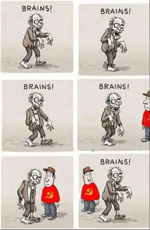Zombie Wants Brains