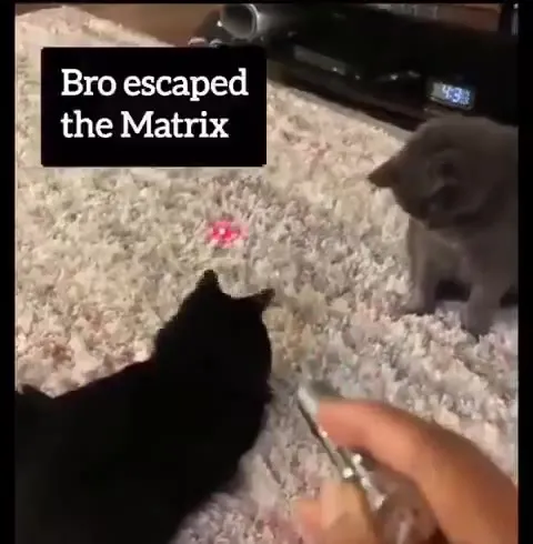 Bro Escaped the Matrix