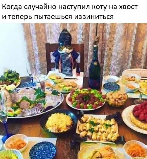 Кот за праздничным столом