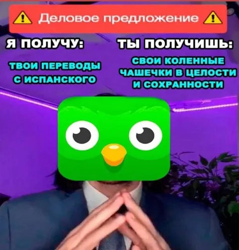 Деловое предложение Duolingo