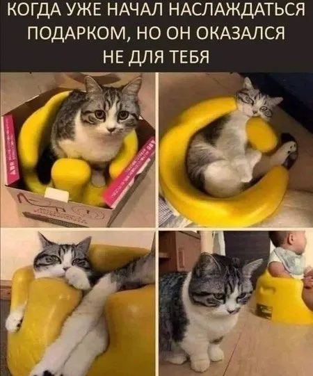 Подарок оказался не для тебя