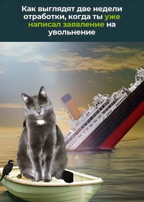 Две недели до увольнения