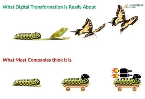 What Digital Transformation Really Means