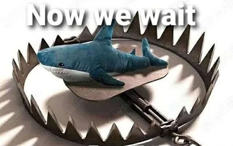 Now We Wait Shark Trap