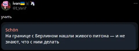 Питон на границе с Берлином