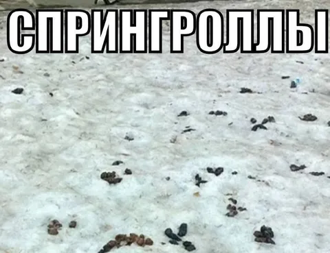 Спрингроллы на снегу