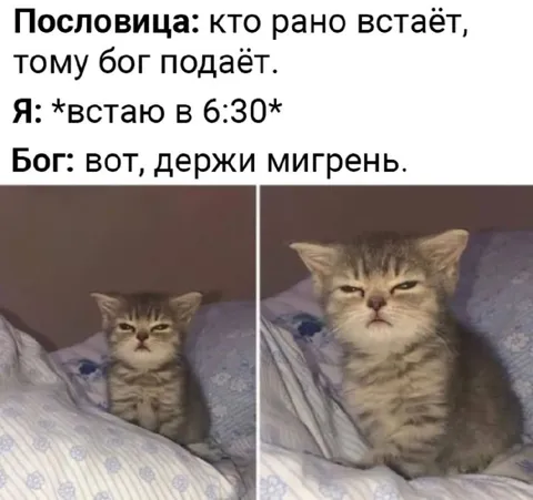 Бог подаёт мигрень