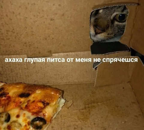 Глупая пита не спрячется