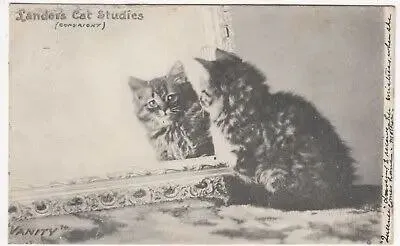 Famous Cat Studies