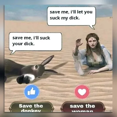 Save the Donkey or Woman