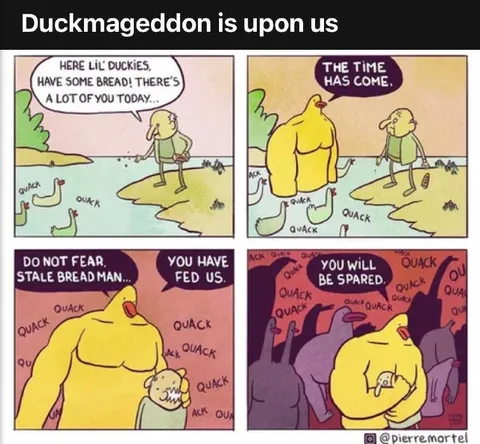 Duckmageddon Is Upon Us