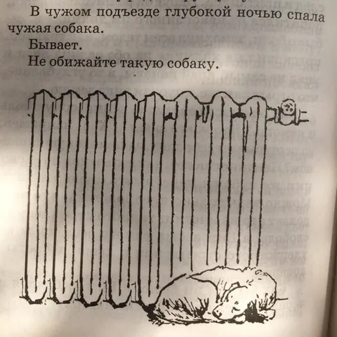 Собака спит у батареи