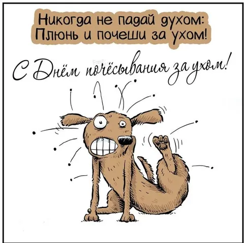 День почёсывания за ухом