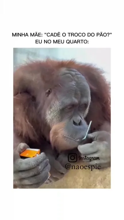 Cadê o troco do pão?