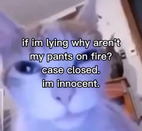 Innocent Cat Case Closed