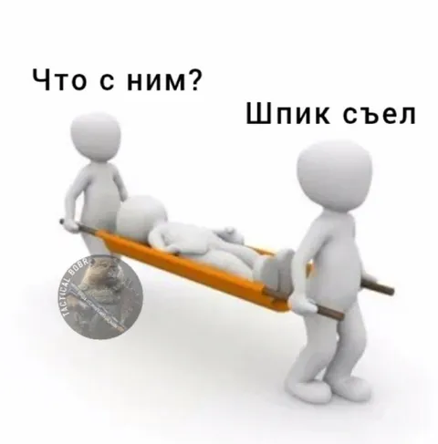 Шпик съел бобра