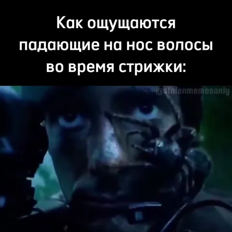 Волосы на носу во время стрижки