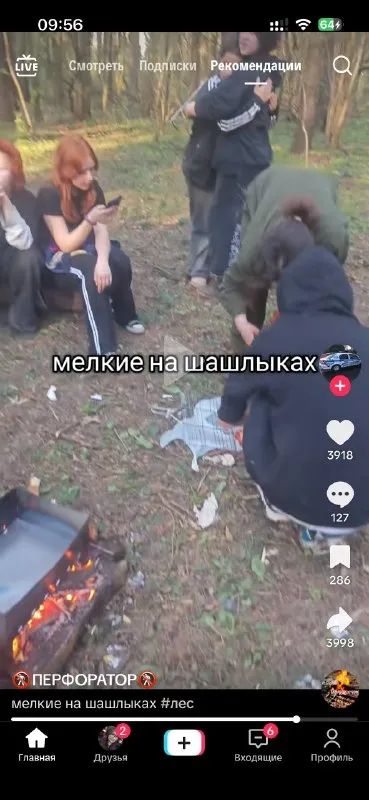 Мелкие на шашлыках